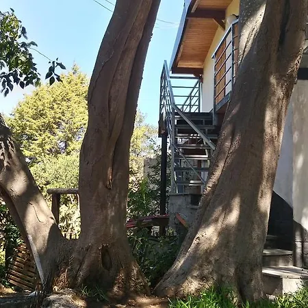 Guest house Chalet Don Bosco *